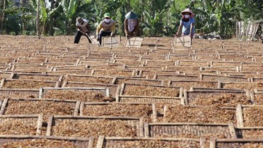 Ada yang Bermain! HJE Rokok 100 Persen Dinilai Tak Tepat