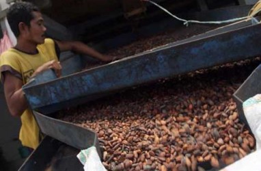 Investasi Pusat Penelitian Kakao di Pasuruan Capai Rp190,5 Miliar