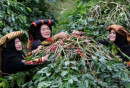 Program Kementan di Surabaya Diklaim Dorong Petani Milenial