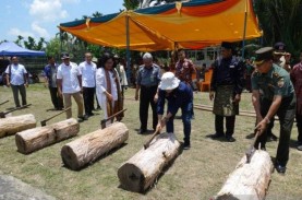 Sagu Bisa Jadi Solusi Kedaulatan Pangan Indonesia