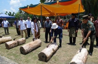 Sagu Bisa Jadi Solusi Kedaulatan Pangan Indonesia