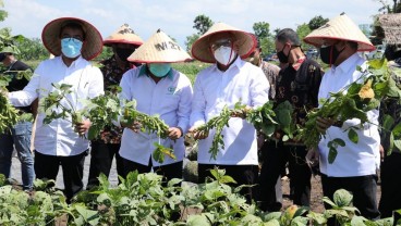 MenkopUKM Fokus Siapkan Koperasi Percontohan di Sektor Pangan