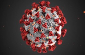 Ajaib! Penelitian Temukan Virus Corona Bisa Hidup Hingga 28 Hari di Permukaan Benda