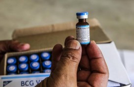 Ilmuwan Uji Vaksin BCG untuk Mengobati Pasien Corona