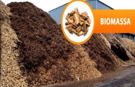Ini Potensi Peningkatan Bauran EBT dari Co-Firing Biomassa