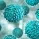 Mengenal Norovirus yang Sedang Menyerang China dan Cara Pencegahannya