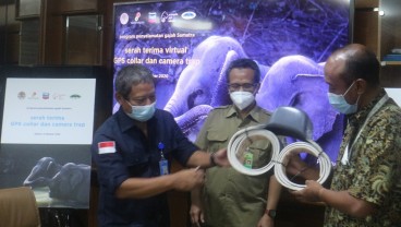 Manfaatkan Teknologi Satelit untuk Lindungi Gajah Sumatra, PT CPI Serahkan Bantuan GPS Collar dan Camera Trap