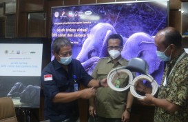 Manfaatkan Teknologi Satelit untuk Lindungi Gajah Sumatra, PT CPI Serahkan Bantuan GPS Collar dan Camera Trap