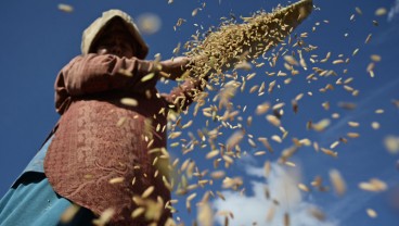 Upah Harian Buruh Tani Nasional September 2020 Naik 0,08 Persen