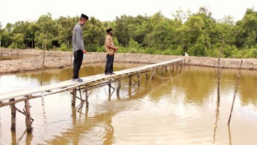 Usaha Budi daya Laut Terbantu Program Sekawan Logik BPBL Batam