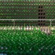 Demi Kurangi Emisi Karbon, Produsen Bir Bintang Daur Ulang Botol Bekas