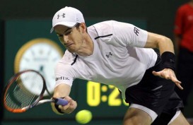 Andy Murray Mundur dari Rangkaian Turnamen di Koln
