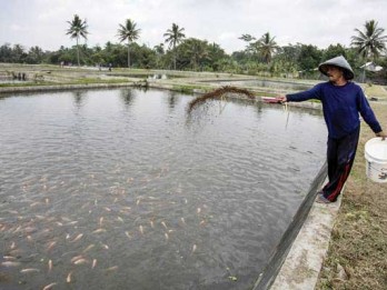 Menjaga Perairan Darat Indonesia