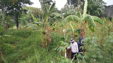 Pengukuran Lahan Tol Yogyakarta-Solo Bergulir, Warga Bingung Cari Lahan Pengganti