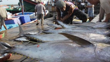 Mercusuar Perikanan Tuna: Data Stok harus Diupdate