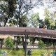 6 Fakta Menarik Revitalisasi Taman Tebet Jadi Tebet Eco Garden