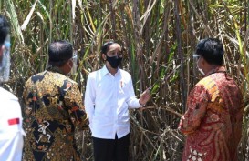 Siap Serap 15.000 Tenaga Kerja, Jokowi Apresiasi Pabrik Gula di Bombana