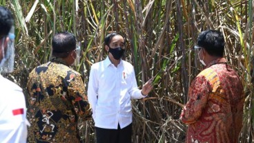 Siap Serap 15.000 Tenaga Kerja, Jokowi Apresiasi Pabrik Gula di Bombana