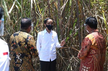 Siap Serap 15.000 Tenaga Kerja, Jokowi Apresiasi Pabrik Gula di Bombana