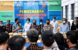 BNNP Banten Musnahkan Ganja Seberat 301 Kilogram