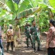 PTPN XI Kembangkan Agrowisata Museum Pisang Lumajang