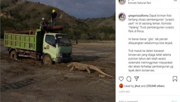 Viral Foto Komodo Hadang Truk, Tagar #SaveKomodo Trending Topic di Twitter 