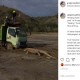 Viral Foto Komodo Hadang Truk, Tagar #SaveKomodo Trending Topic di Twitter 