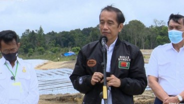 Jokowi Targetkan Hasil Food Estate di Sumut Terlihat dalam 2 Bulan