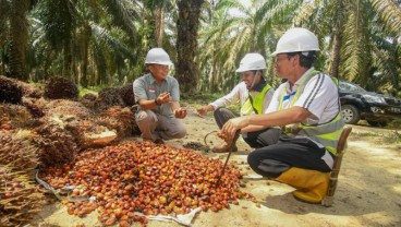 5 Berita Populer Market, Harga CPO Naik, Emiten Sawit Grup Salim hingga Grup Bakrie Panen Cuan & Nilai Tukar Rupiah Terhadap Dolar AS