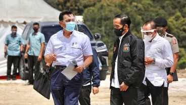 Menko Luhut Pastikan Kawasan Food Estate Tidak Gusur Hutan Lindung