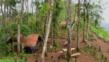 Wagub Jabar Sebut Pangandaran Miliki Potensi Wisata Gunung 