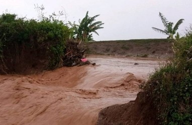 Tanggul Jebol, Padi Siap Panen di Pati Terendam Air