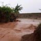 Tanggul Jebol, Padi Siap Panen di Pati Terendam Air