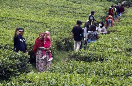 Rapid Test Wisatawan di Puncak Bogor, 69 Orang Reaktif
