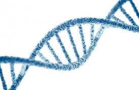 Lebih Mirip Siapakah Anda Secara Genetik, Ibu atau Ayah?