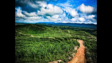 Bappenas Dukung Festival Kabupaten Lestari di Kalimantan Barat