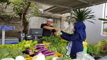 Terpukul Pandemi, Pelaku Bisnis Showbiz Ini Banting Setir Jualan Ikan dan Sayur