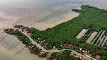 Unik, Warga Brebes Olah Mangrove Jadi Batik 