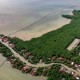 Unik, Warga Brebes Olah Mangrove Jadi Batik 