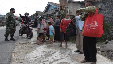 Gunung Merapi Siaga, Hewan Liar Mulai Turun