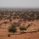 Perubahan Fungsi Lahan dan Iklim Susutkan Seperempat Habitat Hewan Darat Pada 2100