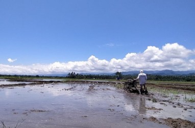 Kinerja Pertanian Diprediksi Lebih Baik Dibandingkan dengan 2019