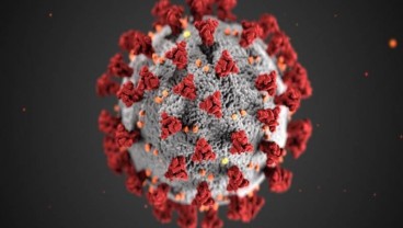 AS Minta WHO Transparan soal Penyelidikan Virus Corona