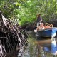 Program Padat Karya Penanaman Mangrove di Sultra Serap 1.604 Tenaga Kerja