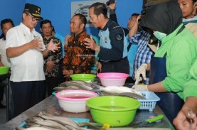 Kemenperin Akui Kinerja Industri Pengolahan Ikan Kurang…