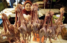 Survei BI: Daging Ayam Ras Pacu Denyut Inflasi di November 2020