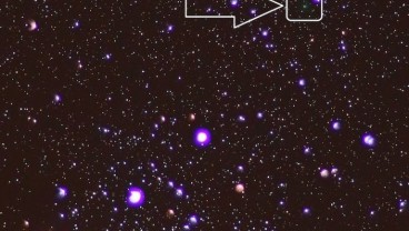 Saksikan Komet C/2020 M3, yang Dekati Bumi Malam Ini