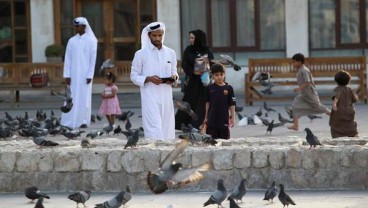 Burung Sultan, Seekor Merpati Balap Belgia Laku Dilelang Rp25 Miliar