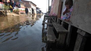 Jakarta Utara Banjir Rob, 14 RT Terendam