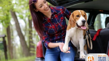 Waspada, Mengajak Anjing ke Luar Rumah Tingkatkan Risiko Corona